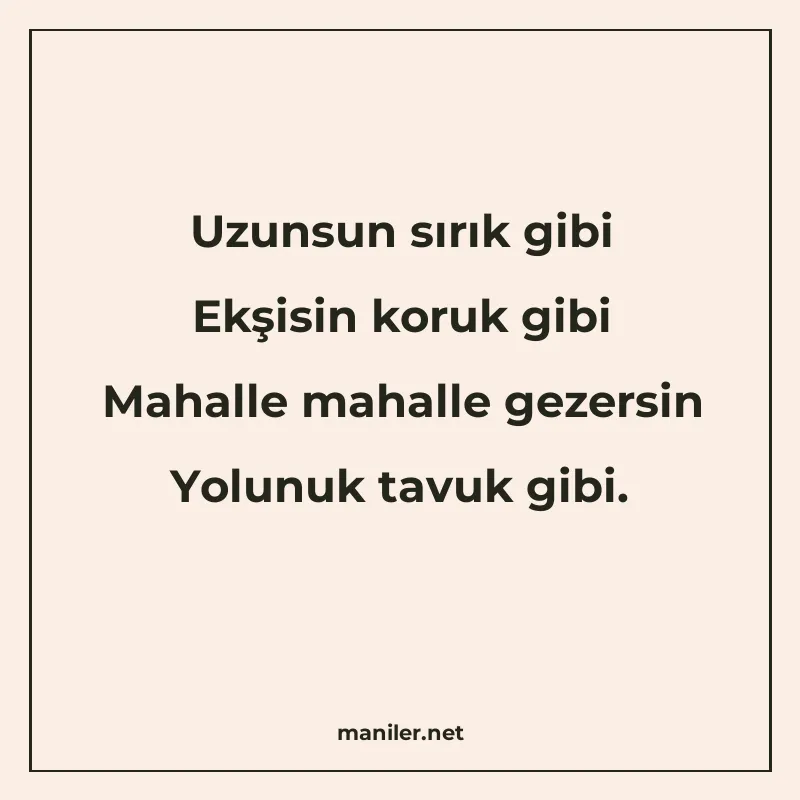 Uzunsun sırık gibi Ekşisin koruk gibi Mahalle mahalle gezers manisi görseli