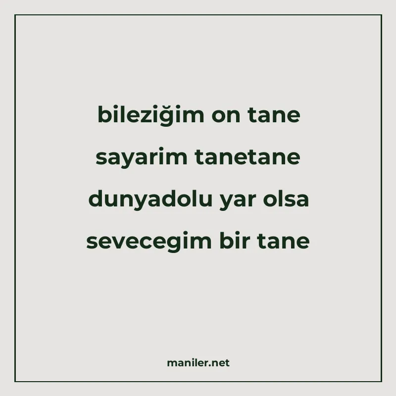 bileziğim on tane sayarim tanetane dunyadolu yar olsa sevece manisi görseli