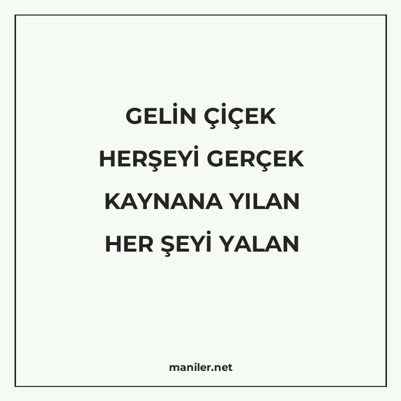 GELİN ÇİÇEK HERŞEYİ GERÇEK KAYNANA YILAN HER ŞEYİ YALAN manisi görseli