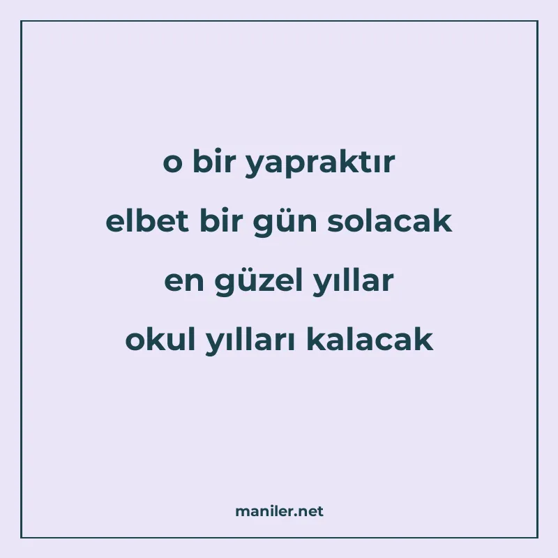 o bir yapraktır elbet bir gün solacak en güzel yıllar okul y manisi görseli
