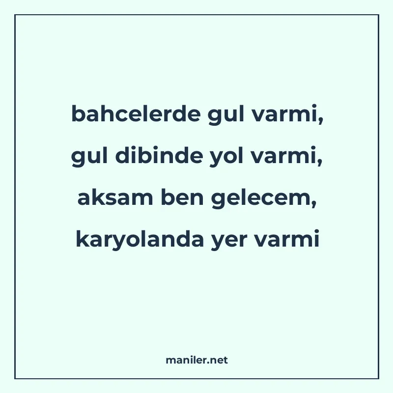 bahcelerde gul varmi, gul dibinde yol varmi, aksam ben gelec manisi görseli
