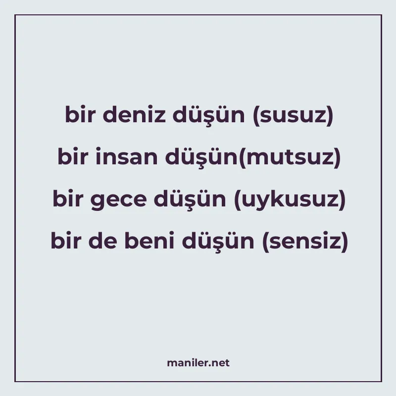 bir deniz düşün (susuz) bir insan düşün(mutsuz) bir gece düş manisi görseli