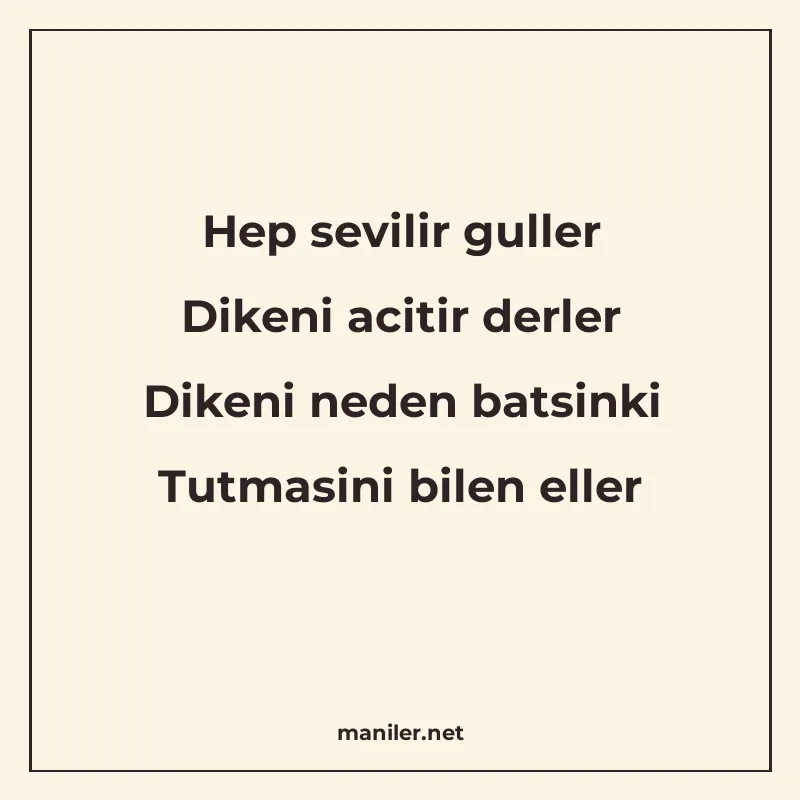 Hep sevilir guller Dikeni acitir derler Dikeni neden batsink manisi görseli