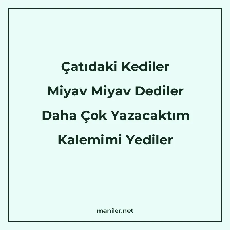 Çatıdaki Kediler Miyav Miyav Dediler Daha Çok Yazacaktım Kal manisi görseli