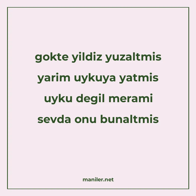 gokte yildiz yuzaltmis yarim uykuya yatmis uyku degil merami manisi görseli