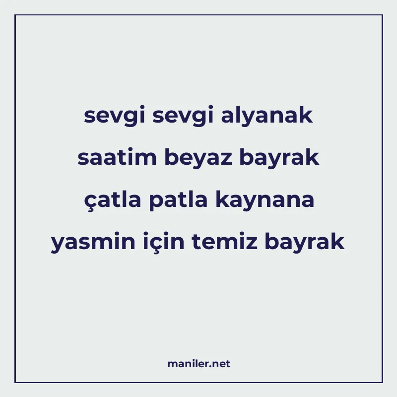 sevgi sevgi alyanak saatim beyaz bayrak çatla patla kaynana manisi görseli