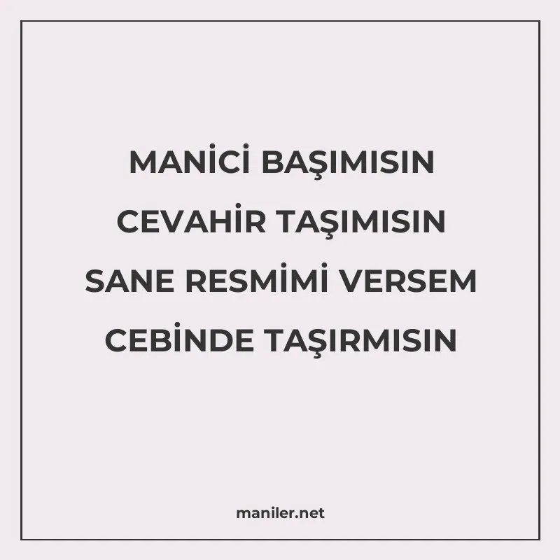 MANİCİ BAŞIMISIN CEVAHİR TAŞIMISIN SANE RESMİMİ VERSEM CEBİN manisi görseli