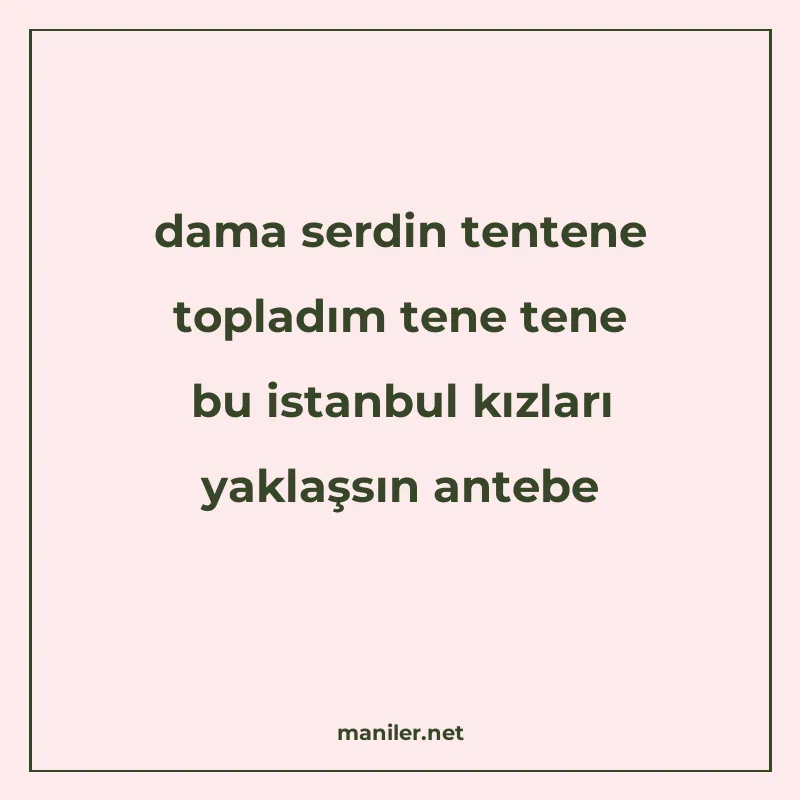 dama serdin tentene topladım tene tene bu istanbul kızları y manisi görseli