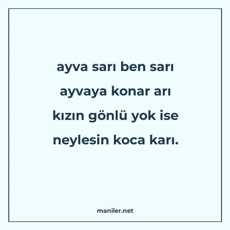 ayva sarı ben sarı ayvaya konar arı kızın gönlü yok ise neyl manisi görseli