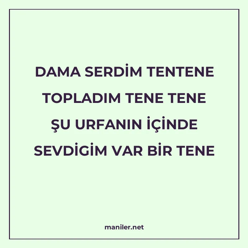 DAMA SERDİM TENTENE TOPLADIM TENE TENE ŞU URFANIN İÇİNDE SEV manisi görseli