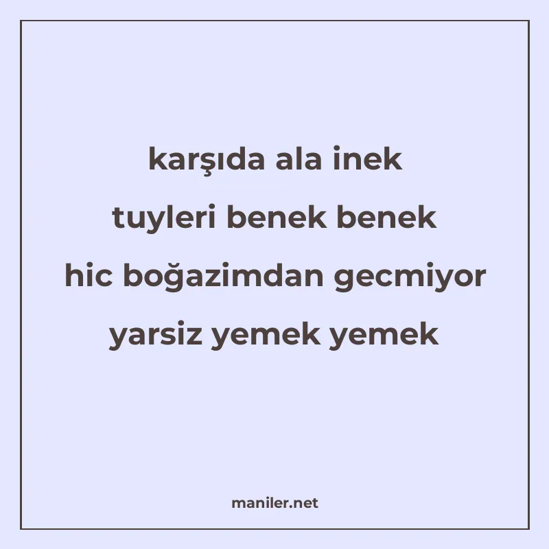 karşıda ala inek tuyleri benek benek hic boğazimdan gecmiyor manisi görseli