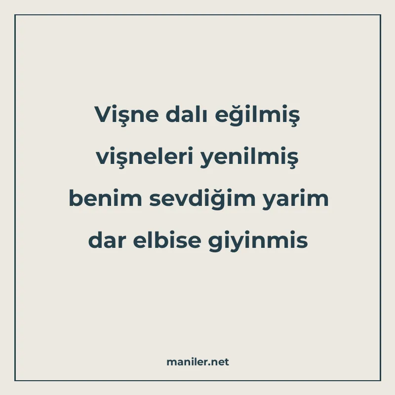 Vişne dalı eğilmiş vişneleri yenilmiş benim sevdiğim yarim d manisi görseli