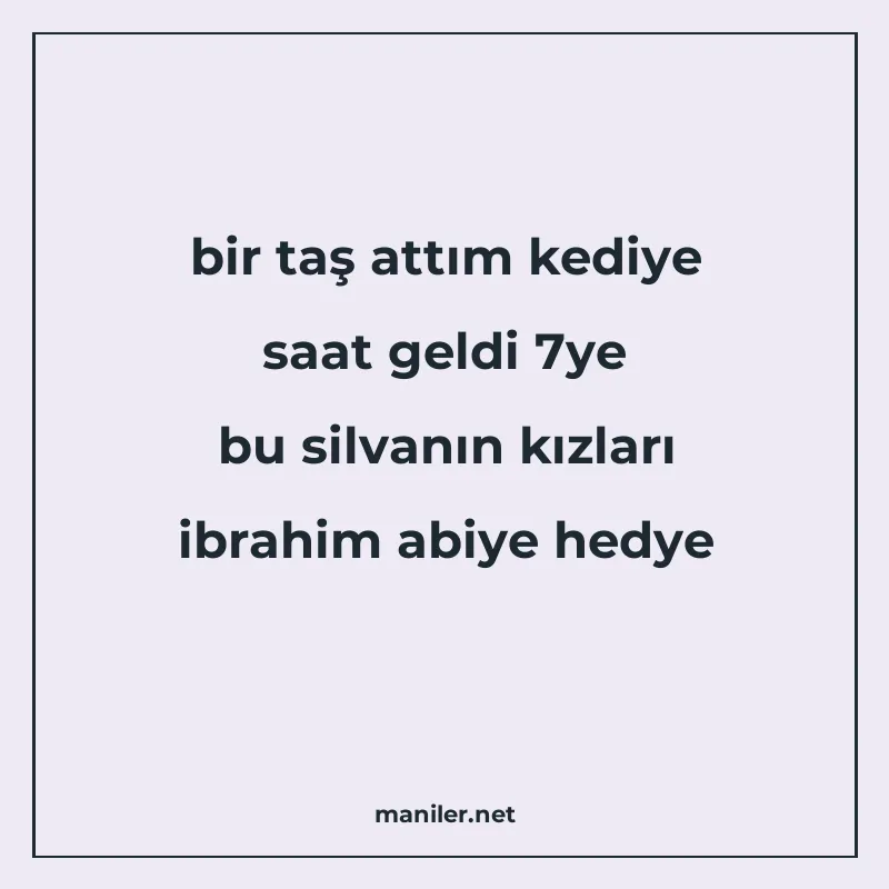 bir taş attım kediye saat geldi 7ye bu silvanın kızları ibra manisi görseli