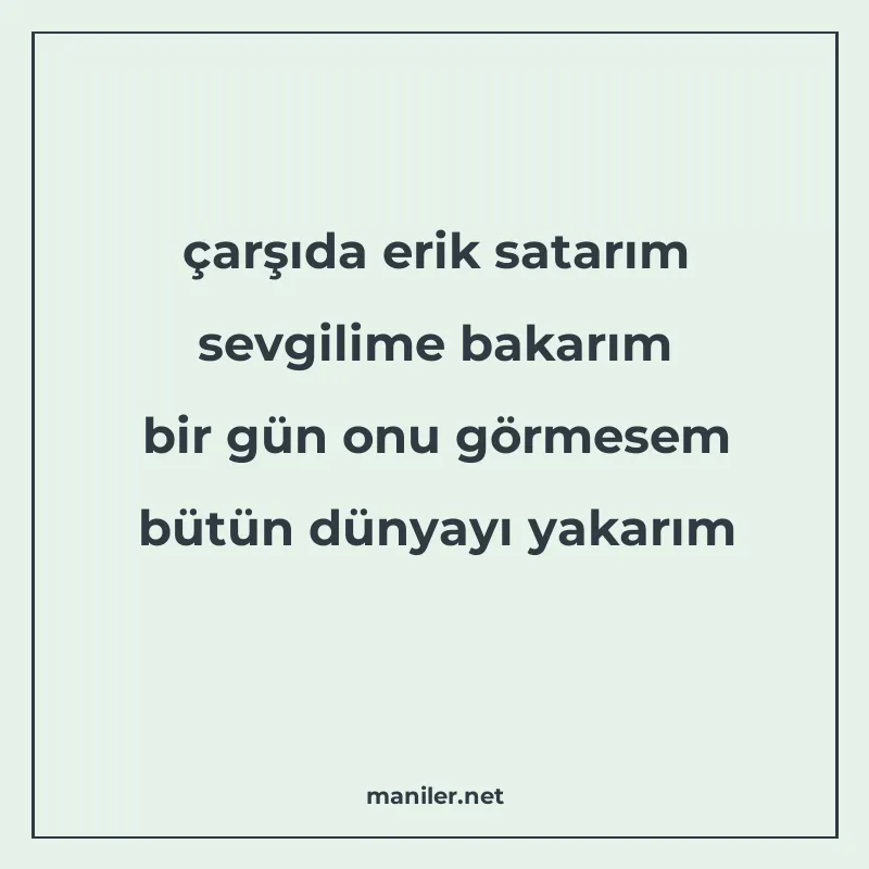 çarşıda erik satarım sevgilime bakarım bir gün onu görmesem manisi görseli