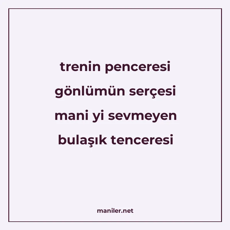 trenin penceresi gönlümün serçesi mani yi sevmeyen bulaşık t manisi görseli