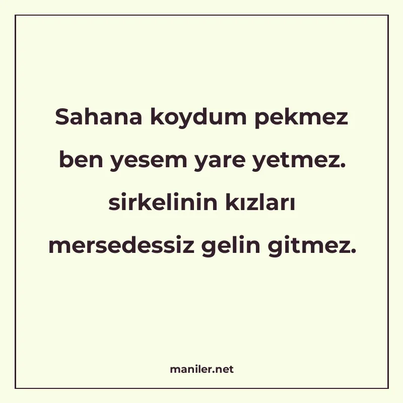 Sahana koydum pekmez ben yesem yare yetmez. sirkelinin kızla manisi görseli