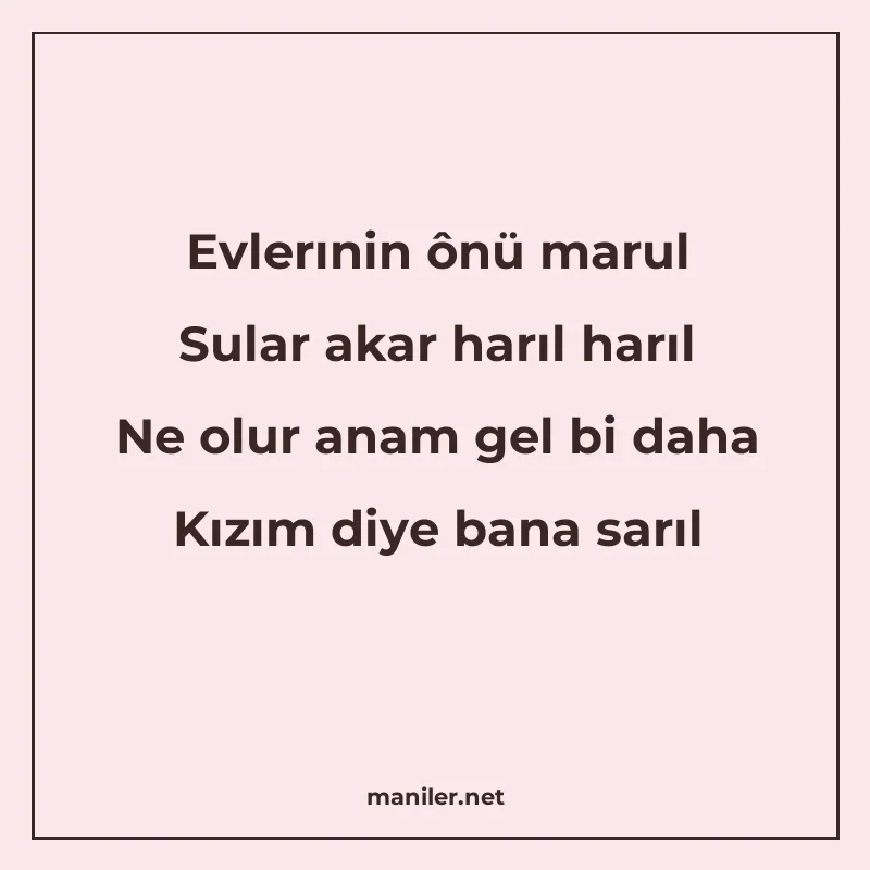 Evlerınin ônü marul Sular akar harıl harıl Ne olur anam gel manisi görseli