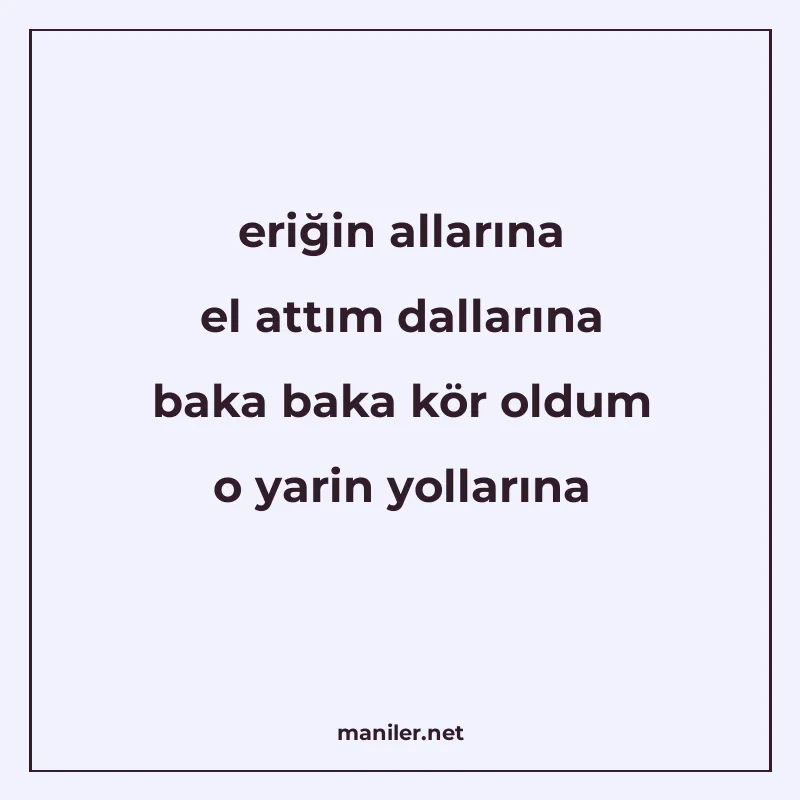 eriğin allarına el attım dallarına baka baka kör oldum o yar manisi görseli