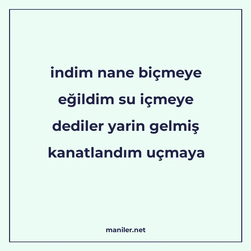 indim nane biçmeye eğildim su içmeye dediler yarin gelmiş ka manisi görseli