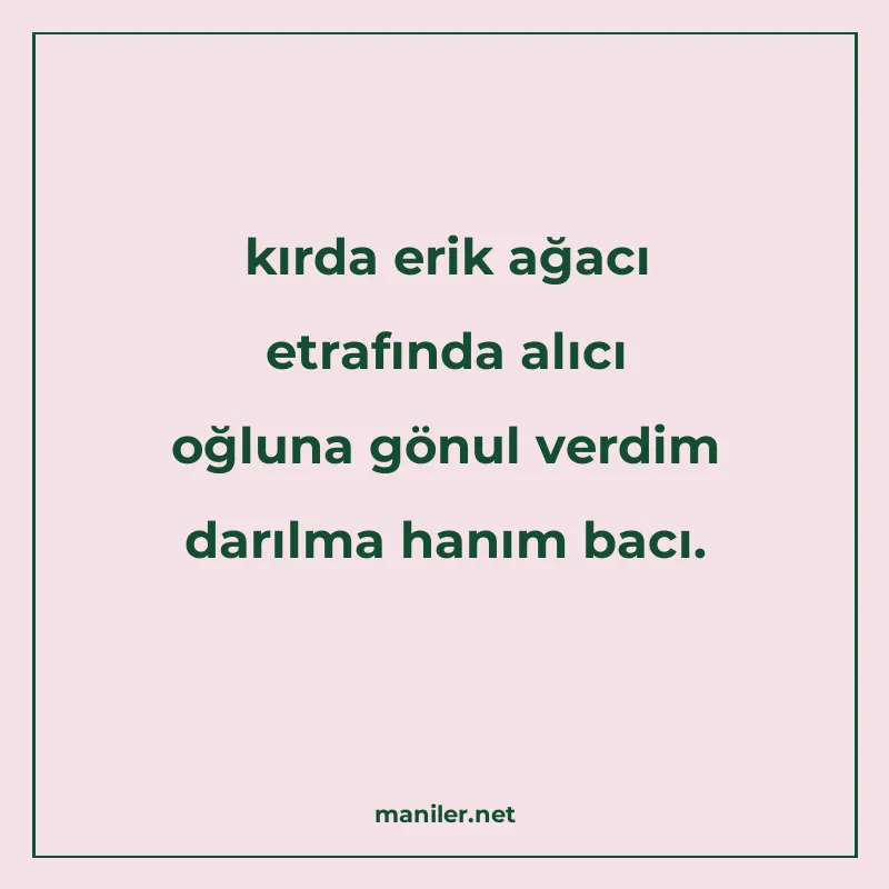 kırda erik ağacı etrafında alıcı oğluna gönul verdim darılma manisi görseli