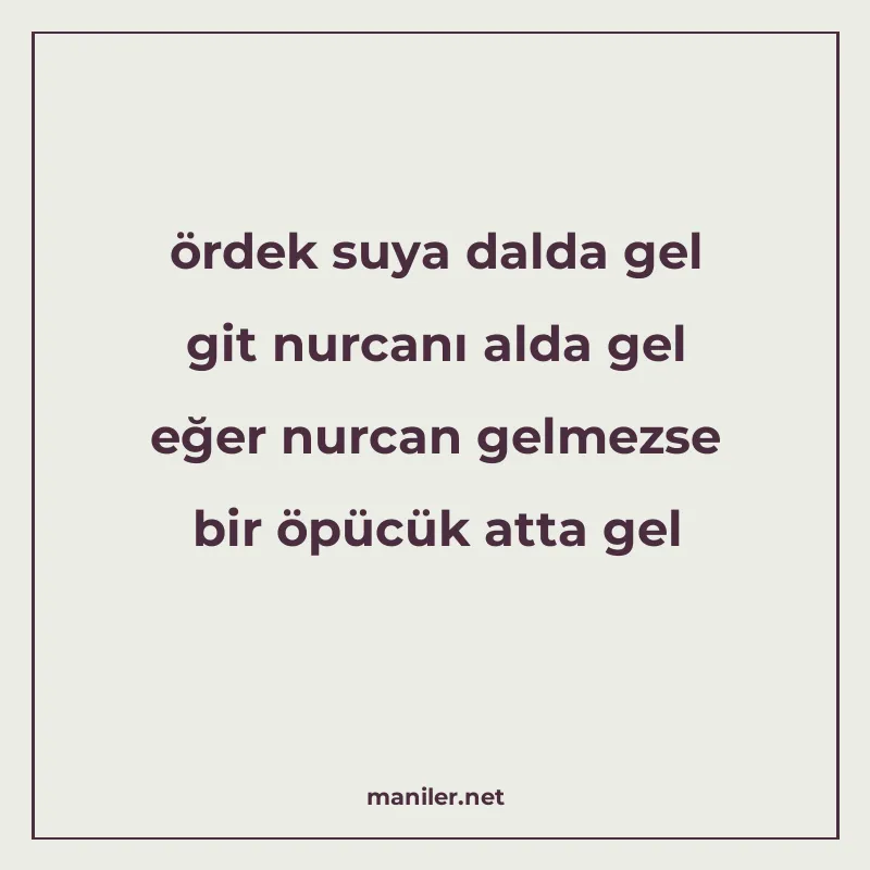 ördek suya dalda gel git nurcanı alda gel eğer nurcan gelmez manisi görseli