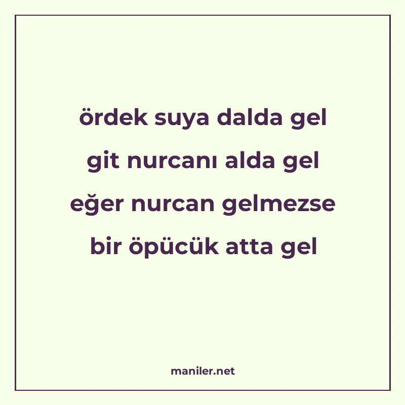 ördek suya dalda gel git nurcanı alda gel eğer nurcan gelmez manisi görseli