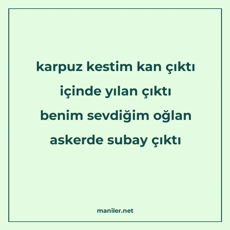 karpuz kestim kan çıktı içinde yılan çıktı benim sevdiğim oğ manisi görseli