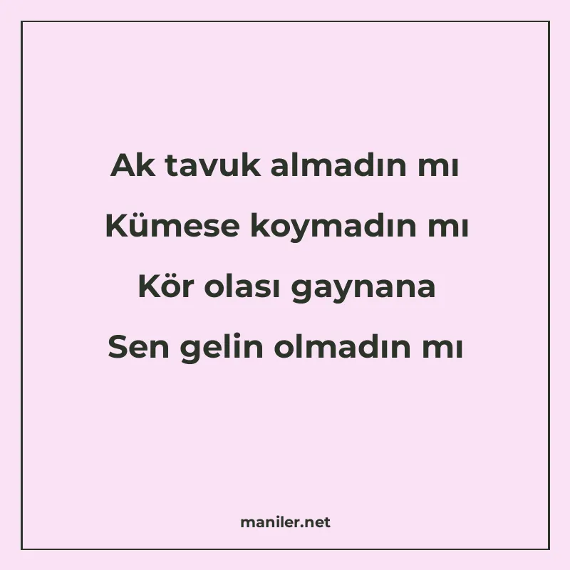 Ak tavuk almadın mı Kümese koymadın mı Kör olası gaynana Sen manisi görseli