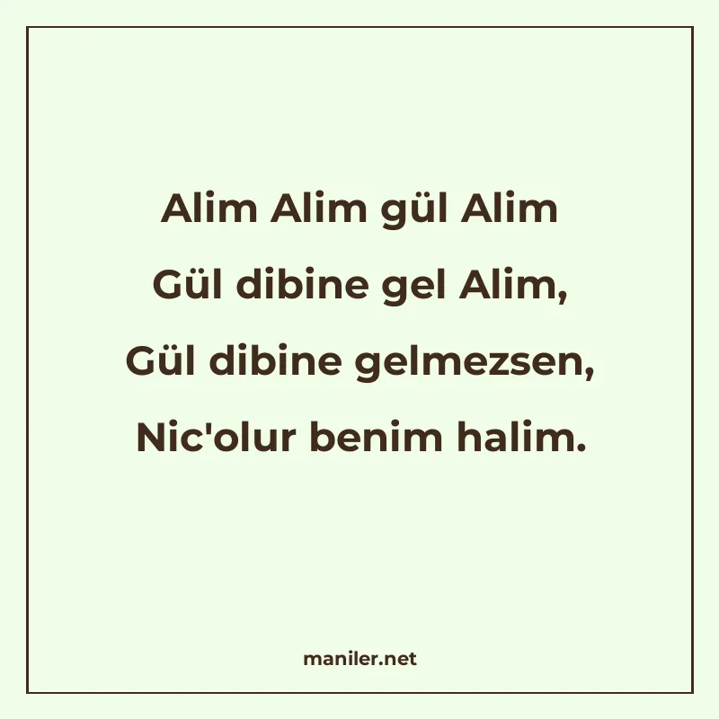 Alim Alim gül Alim Gül dibine gel Alim, Gül dibine gelmezsen manisi görseli