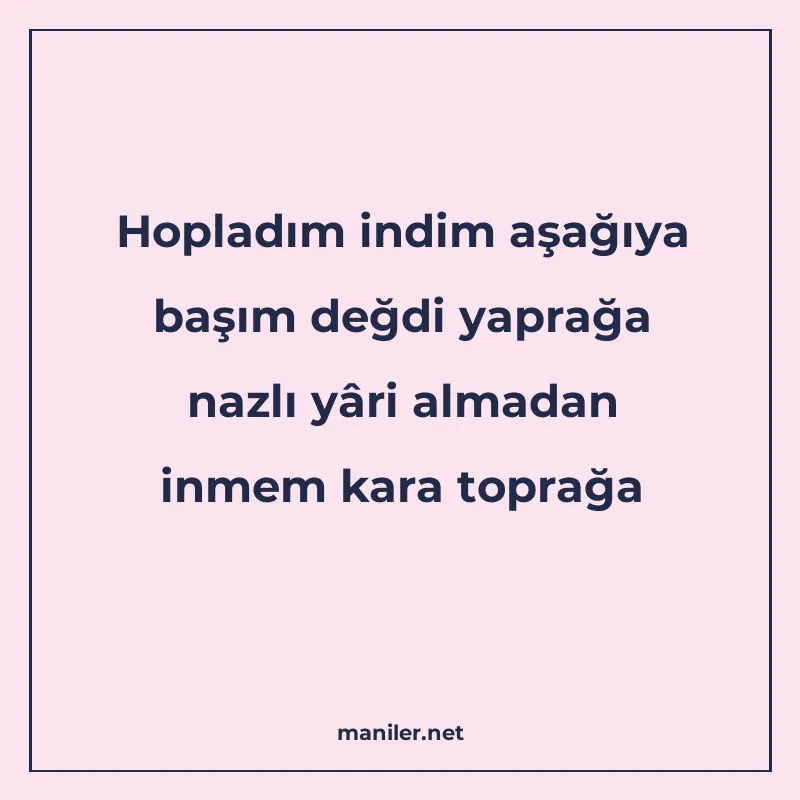 Hopladım indim aşağıya başım değdi yaprağa nazlı yâri almada manisi görseli