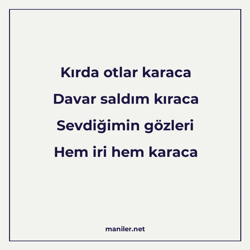 Kırda otlar karaca Davar saldım kıraca Sevdiğimin gözleri He manisi görseli