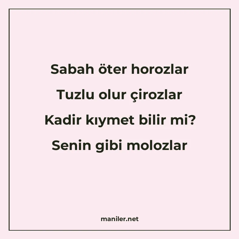 Sabah öter horozlar Tuzlu olur çirozlar Kadir kıymet bilir m manisi görseli