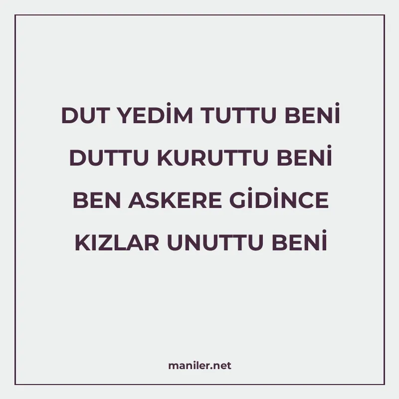 DUT YEDİM TUTTU BENİ DUTTU KURUTTU BENİ BEN ASKERE GİDİNCE K manisi görseli