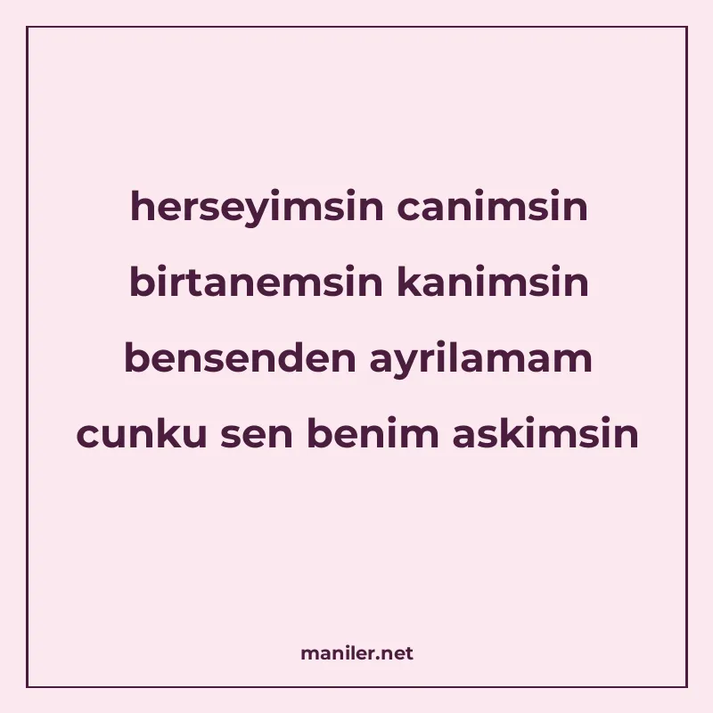 herseyimsin canimsin birtanemsin kanimsin bensenden ayrilama manisi görseli