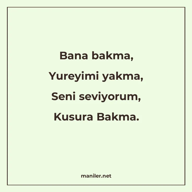 Bana bakma, Yureyimi yakma, Seni seviyorum, Kusura Bakma manisi görseli