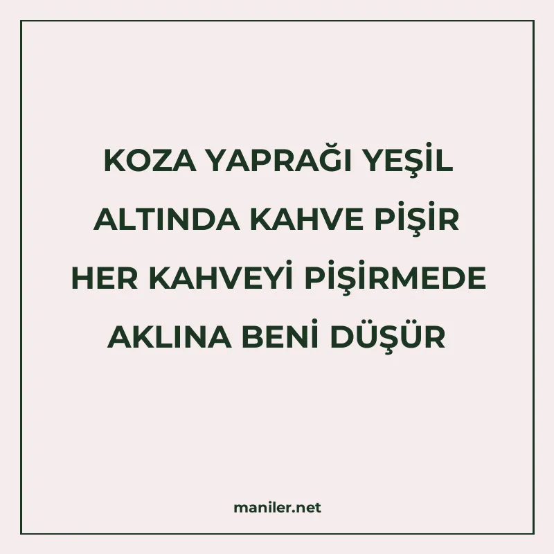 KOZA YAPRAĞI YEŞİL ALTINDA KAHVE PİŞİR HER KAHVEYİ PİŞİRMEDE manisi görseli