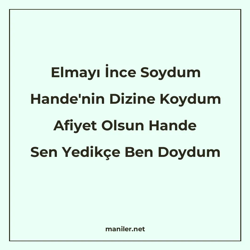 Elmayı İnce Soydum Hande'nin Dizine Koydum Afiyet Olsun Hand manisi görseli