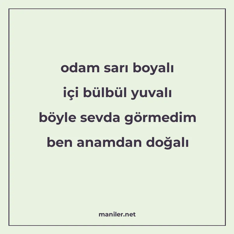 odam sarı boyalı içi bülbül yuvalı böyle sevda görmedim ben manisi görseli