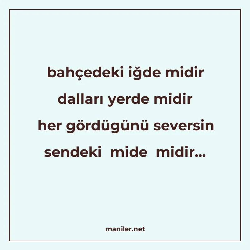bahçedeki iğde midir dalları yerde midir her gördügünü sever manisi görseli