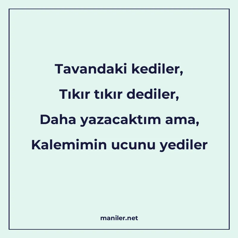 Tavandaki kediler, Tıkır tıkır dediler, Daha yazacaktım ama manisi görseli