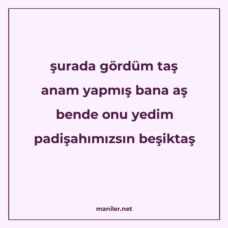 şurada gördüm taş anam yapmış bana aş bende onu yedim padişa manisi görseli