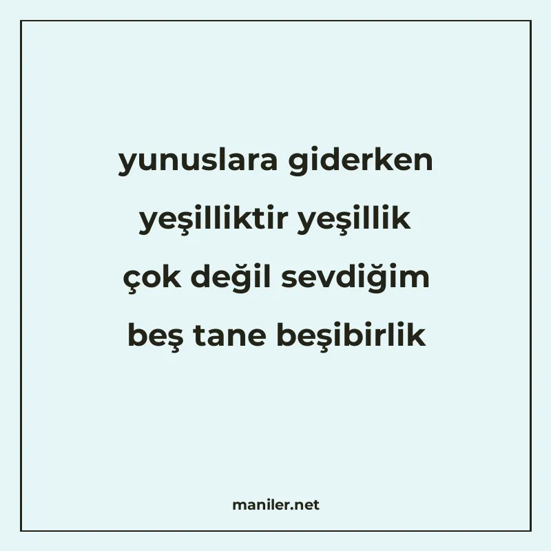 yunuslara giderken yeşilliktir yeşillik çok değil sevdiğim b manisi görseli