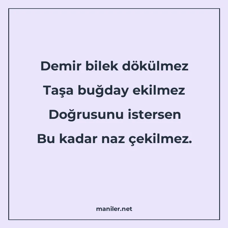 Demir bilek dökülmez Taşa buğday ekilmez Doğrusunu istersen manisi görseli