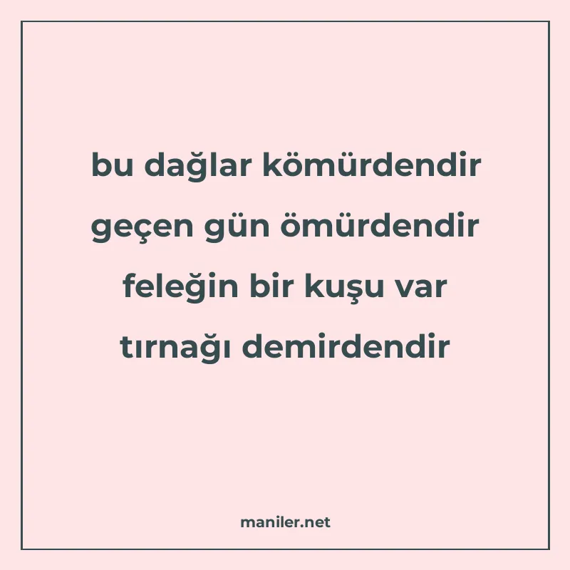 bu dağlar kömürdendir geçen gün ömürdendir feleğin bir kuşu manisi görseli