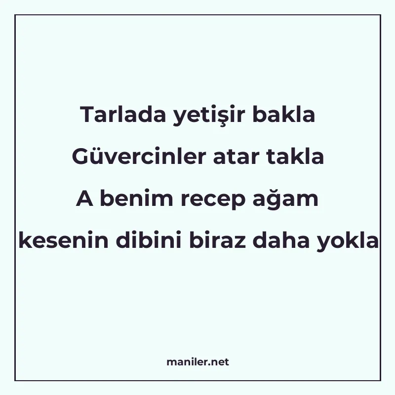 Tarlada yetişir bakla Güvercinler atar takla A benim recep a manisi görseli