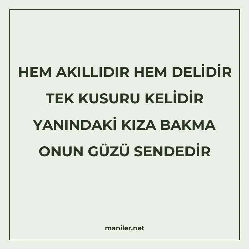 HEM AKILLIDIR HEM DELİDİR TEK KUSURU KELİDİR YANINDAKİ KIZA manisi görseli