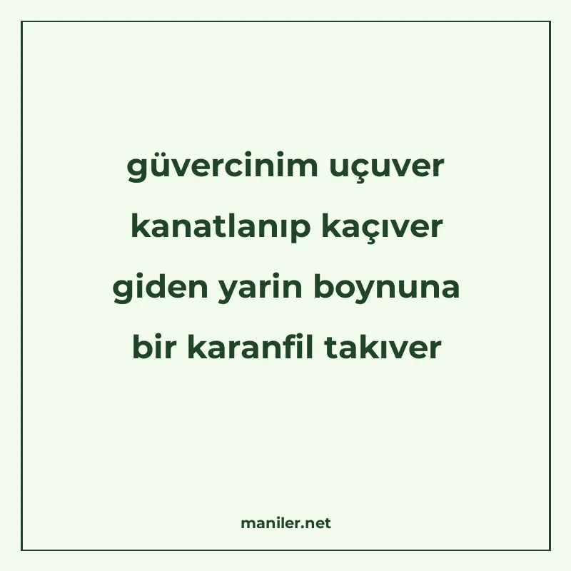 güvercinim uçuver kanatlanıp kaçıver giden yarin boynuna bir manisi görseli