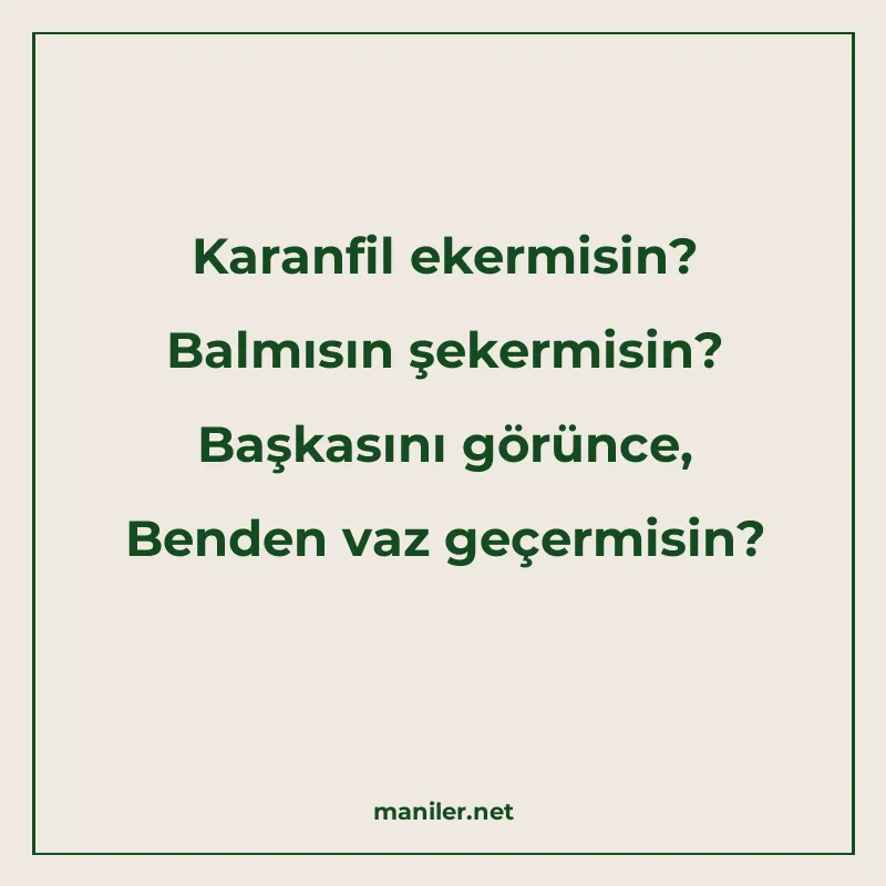 Karanfil ekermisin? Balmısın şekermisin? Başkasını görünce manisi görseli