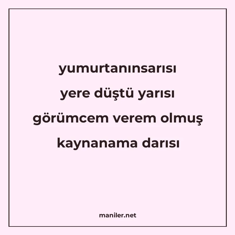 yumurtanınsarısı yere düştü yarısı görümcem verem olmuş kayn manisi görseli