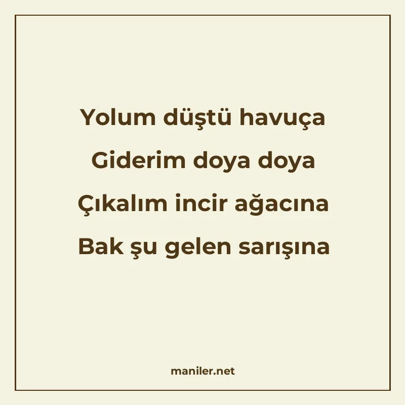 Yolum düştü havuça Giderim doya doya Çıkalım incir ağacına B manisi görseli